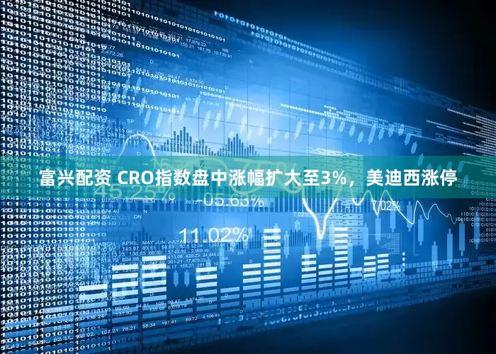 富兴配资 CRO指数盘中涨幅扩大至3%，美迪西涨停